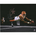 Chad Johnson Signed 11 x 14 Diving Spotlight Photograph | Cincinnati Bengals