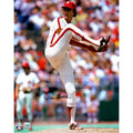 Steve Carlton Signed 16 x 20 Photograph | Philadelphia Phillies