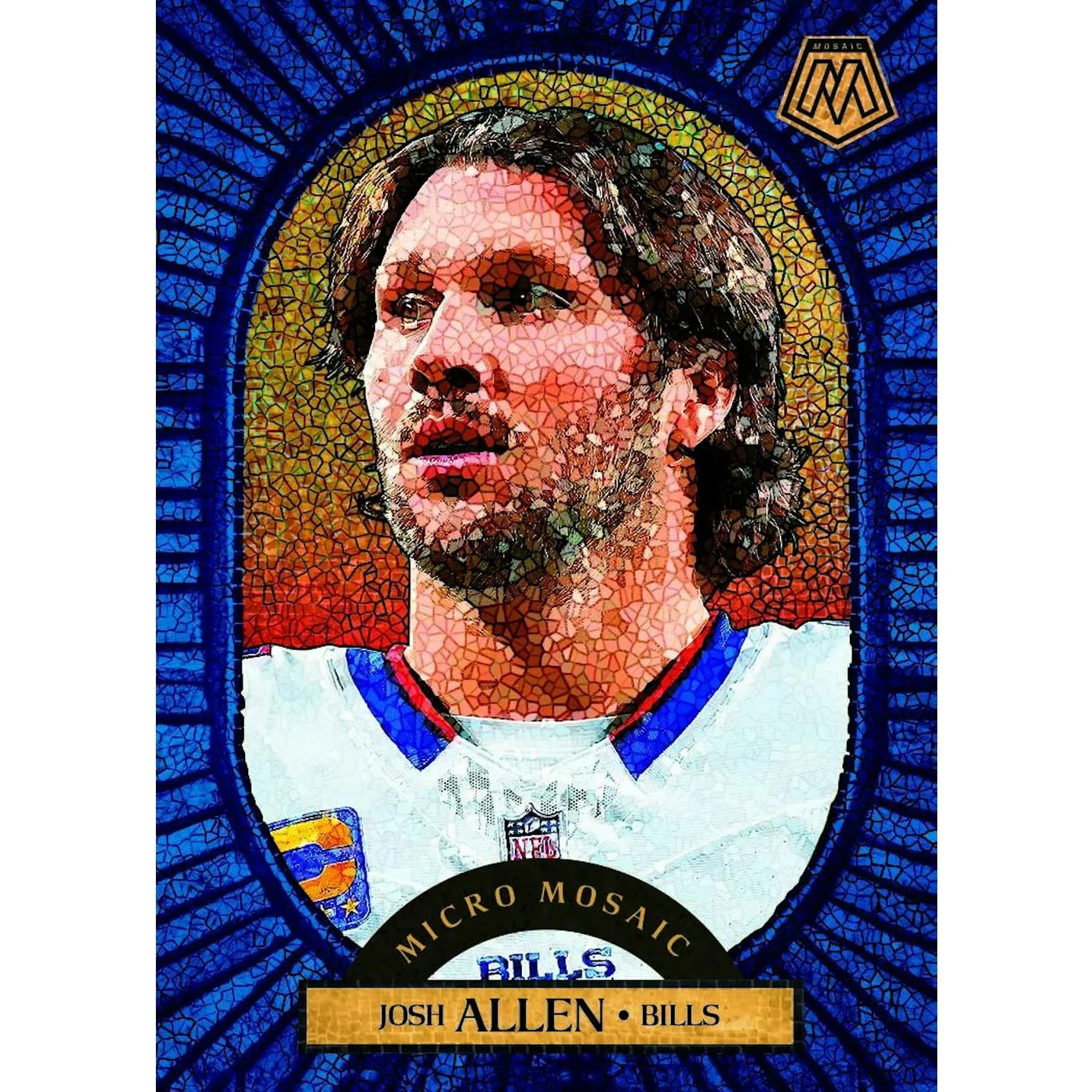 2025 Panini Mosaic Football Choice 20-Box Case (Ships Sealed Only) - D