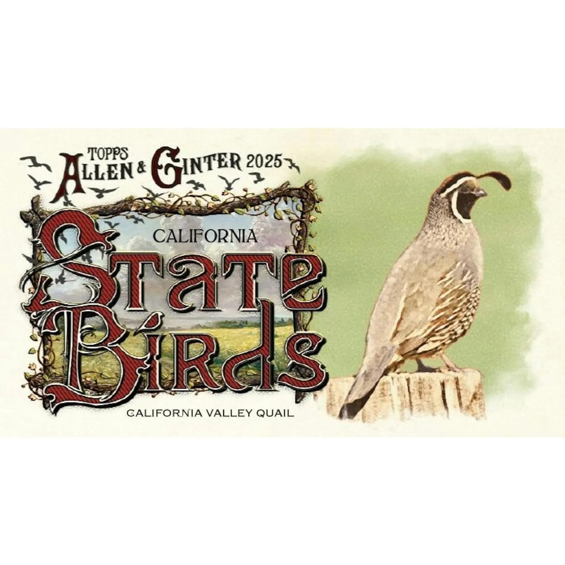 2025 Topps Allen Ginter Baseball Jumbo Value Pack Case 108 Ct (Ships Sealed Only)