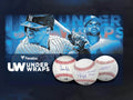 MLB Divisional (2) 2024 Under Wraps Autographed Baseballs + (6) 2023 Wild Card Stacked Deck Packs Break 001