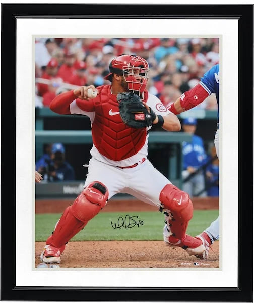 Willson Contreras Signed 16 x 20 Catching Photo | St. Louis Cardinals