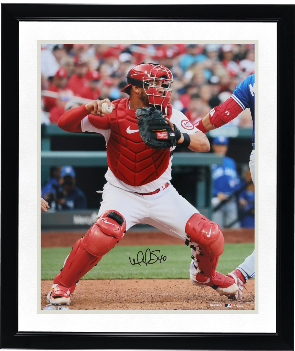 Willson Contreras Signed 16 x 20 Catching Photo | St. Louis Cardinals