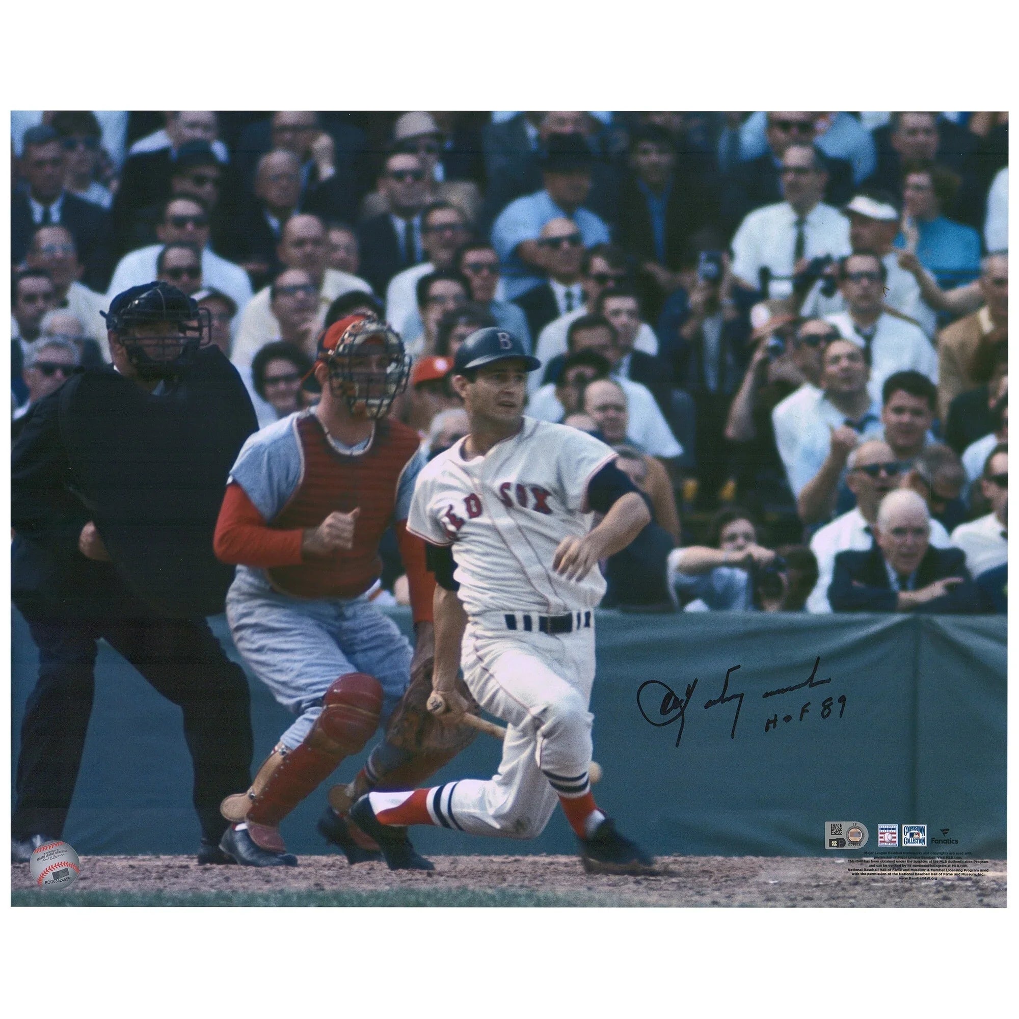 Carl Yastrzemski Signed 16 x 20 Photo | 1967 World Series HOF 89