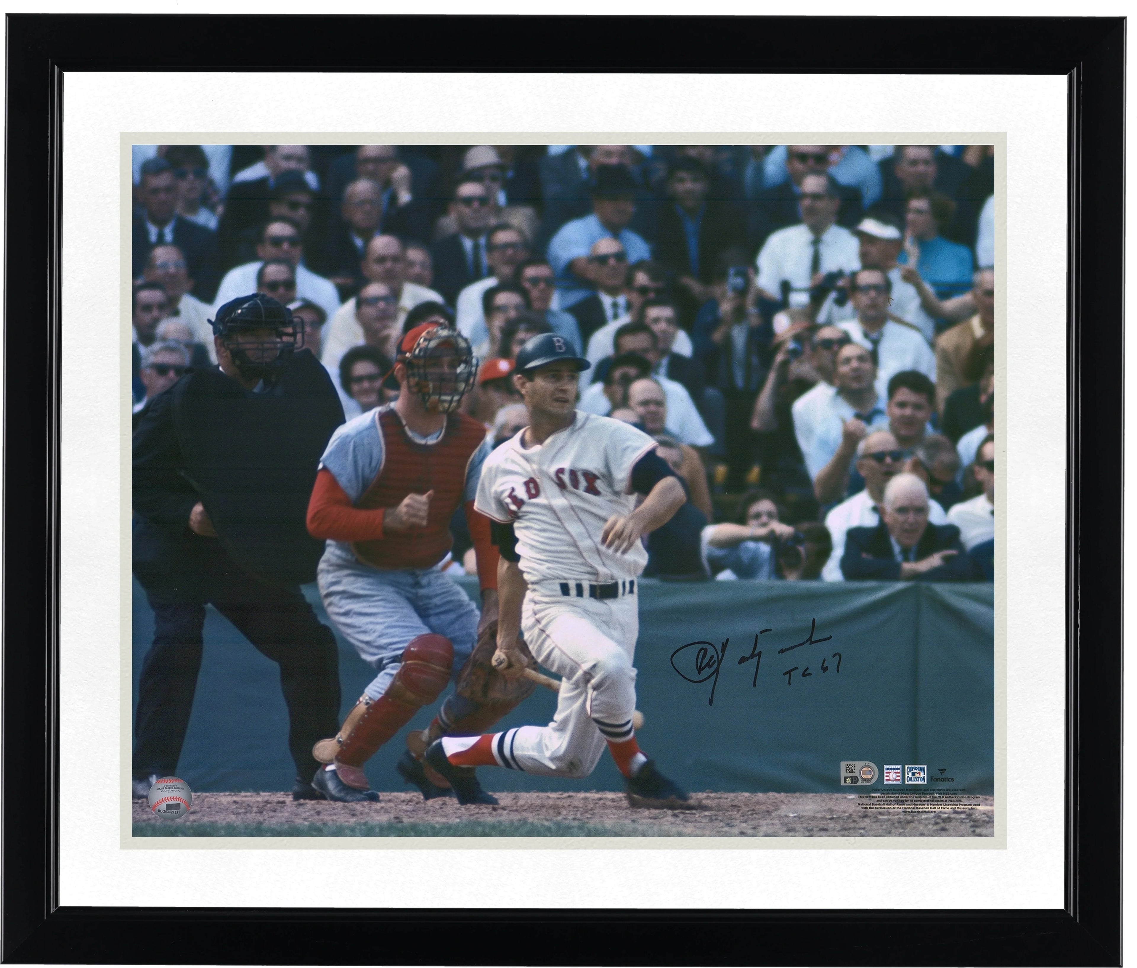 Carl Yastrzemski Signed 16 x 20 Photo | 1967 World Series TC 67 Inscription