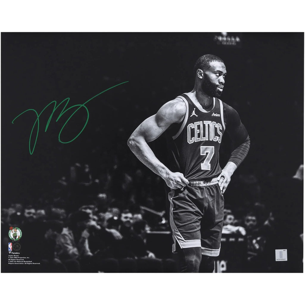 Jaylen Brown Signed 16 x 20 Photograph | Boston Celtics