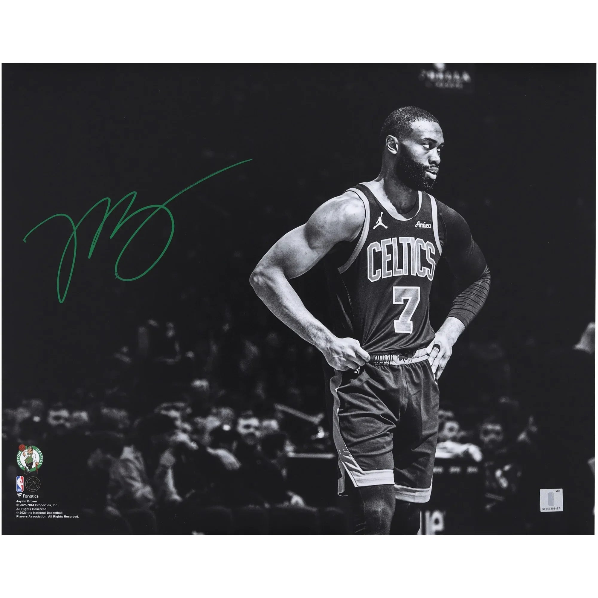 Jaylen Brown Signed 16 x 20 Photograph | Boston Celtics