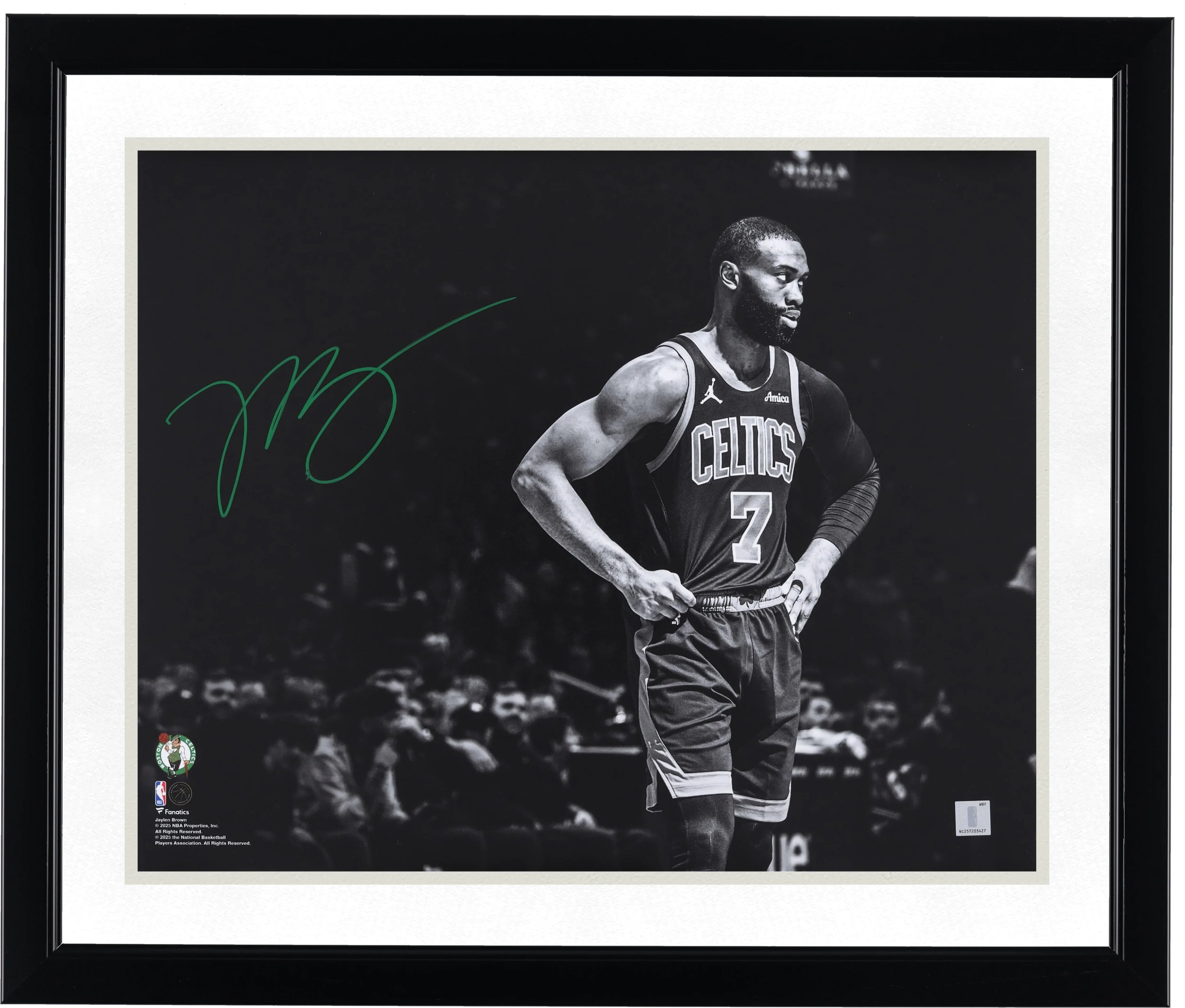 Jaylen Brown Signed 16 x 20 Photograph | Boston Celtics