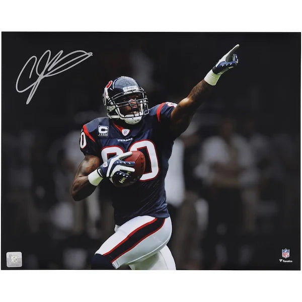 Andre Johnson Signed 16 x 20 Touchdown Celebration Photo | Houston Texans