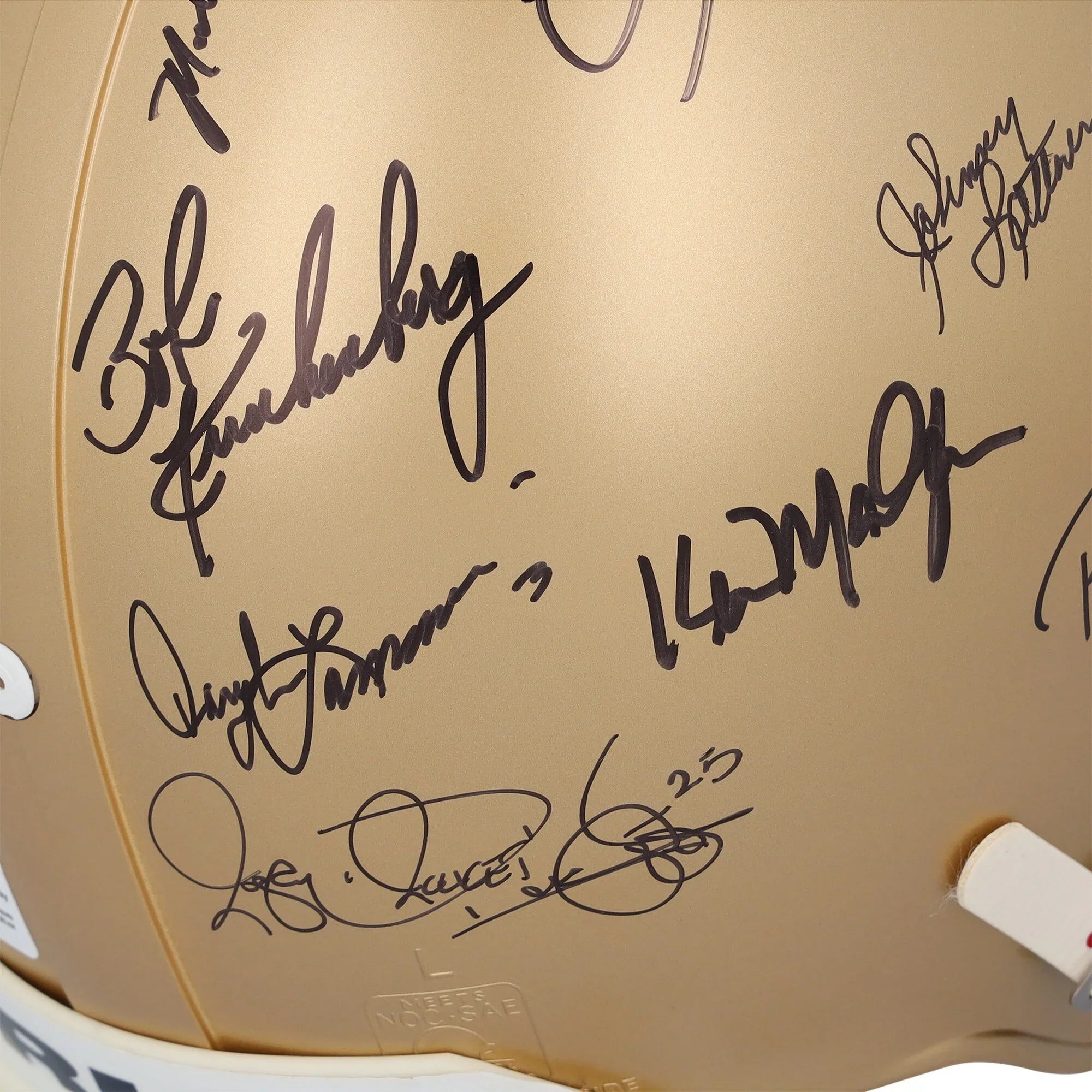 Notre Dame Fighting Irish Signed Riddell Helmet | 32 Signatures